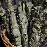 Eucalyptus Smudge Bundles
