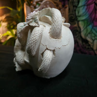 White Rose Serpent Skull