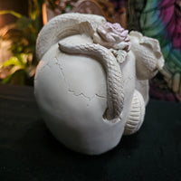 White Rose Serpent Skull