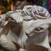White Rose Serpent Skull