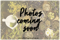 Slippery Elm - powdered