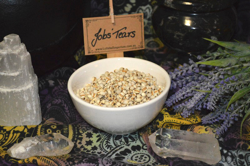 HD formatda yumshoq onanizm tomoshasi