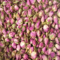 Rose Buds