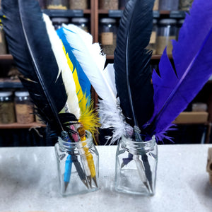 Feather Quill ~ Assorted designs