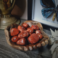 Red Snakeskin Jasper - Tumbled stones