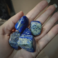 Lapis Lazuli tumbled stones