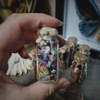 Fairy Bottle ~ Curios Collection