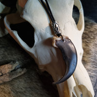 Bear Claw Pendant #01