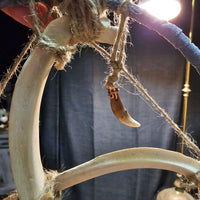 Medicine Wheel with bones & Coyote tooth #03