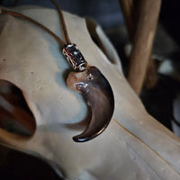 Bear Claw Pendant #02