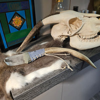 Antler Wand with Quartz