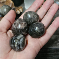 Black Moonstone - Round Tumbles