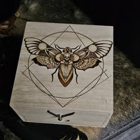 Death's-Head Moth Wooden Chest