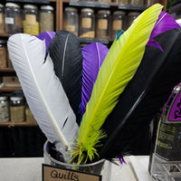 Feather Quill ~ Assorted designs