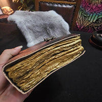 Fox Mushroom Journal