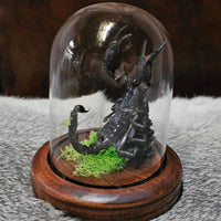 Scorpion in dome