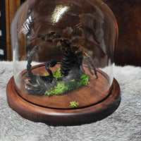 Scorpion & Tarantula in dome