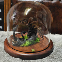 Scorpion & Tarantula in dome