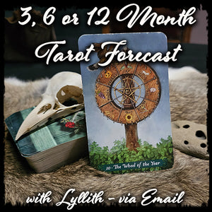 3, 6 or 12 Month Tarot Forecast