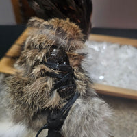 Ceremonial Smoking Fan