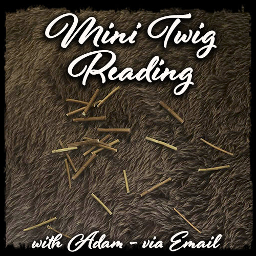 Twig Reading - Mini Reading