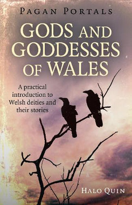 Gods & Goddesses of Wales - Pagan Portals