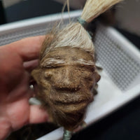 Shrunken Head (Authentic replica)