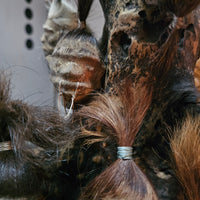 Shrunken Head (Authentic replica)