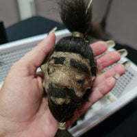 Shrunken Head (Authentic replica)