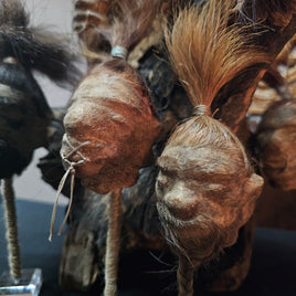 Shrunken Head (Authentic replica)
