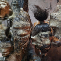 Shrunken Head (Authentic replica)