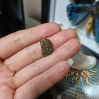 Moldavite #15 - 0.86g