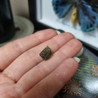 Moldavite #17 - 0.59g