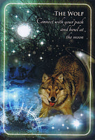 Animal Whispers Empowerment Cards