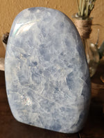 Blue Calcite - standing #1