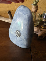 Blue Calcite - standing #1