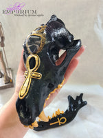 Anubis Dedication Skull