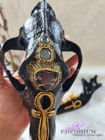 Anubis Dedication Skull