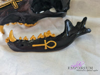 Anubis Dedication Skull