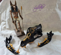 Anubis Dedication Skull