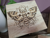 Death's-Head Moth Wooden Chest