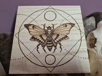 Death's-Head Moth Wooden Chest