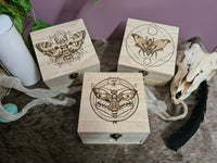 Death's-Head Moth Wooden Chest