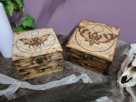 Death's-Head Moth Wooden Chest