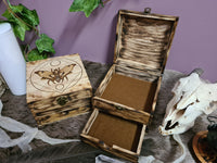 Death's-Head Moth Wooden Chest