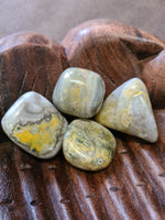 Eclipse Stone - Bumble Bee Jasper