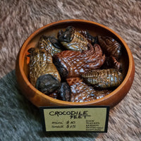 Crocodile Foot