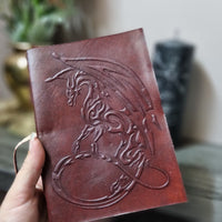 Dragon Journal