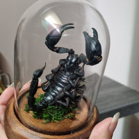 Scorpion in dome