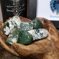 Tree Agate - tumbled stones